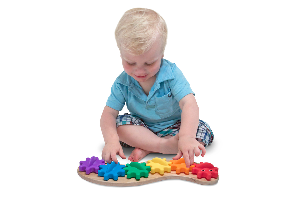 Bruco arcobaleno ingranaggi