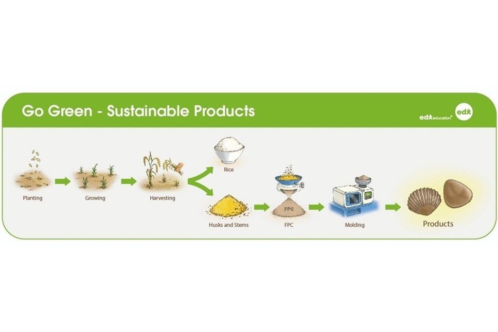 Sassi arcobaleno - ECO junior