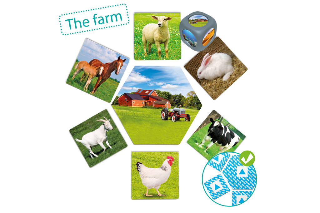 Dove vivono gli animali?