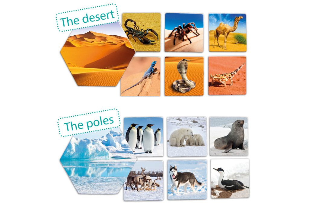 Dove vivono gli animali?