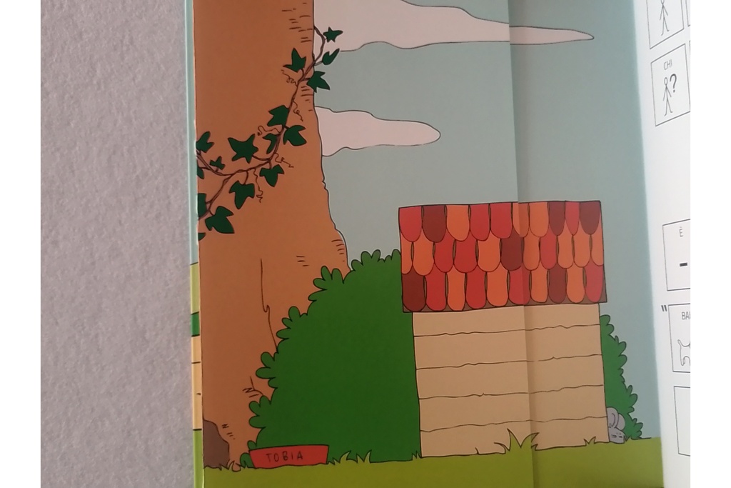 Alla scoperta della fattoria