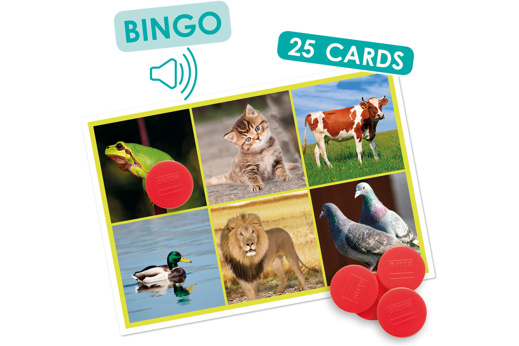 Bingo: animali e natura