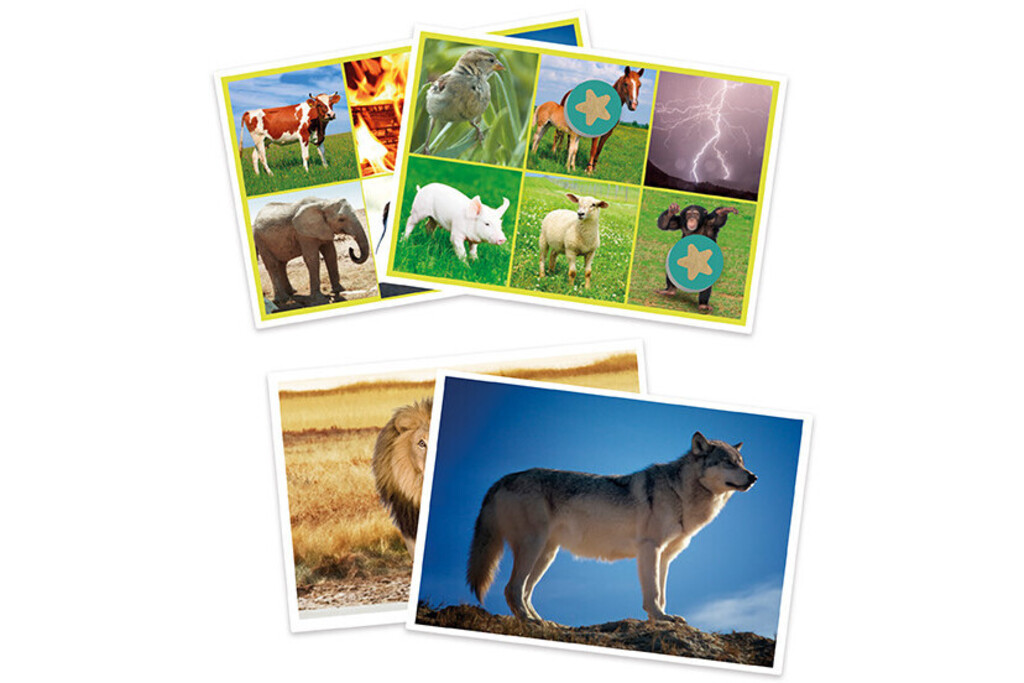 Bingo: animali e natura