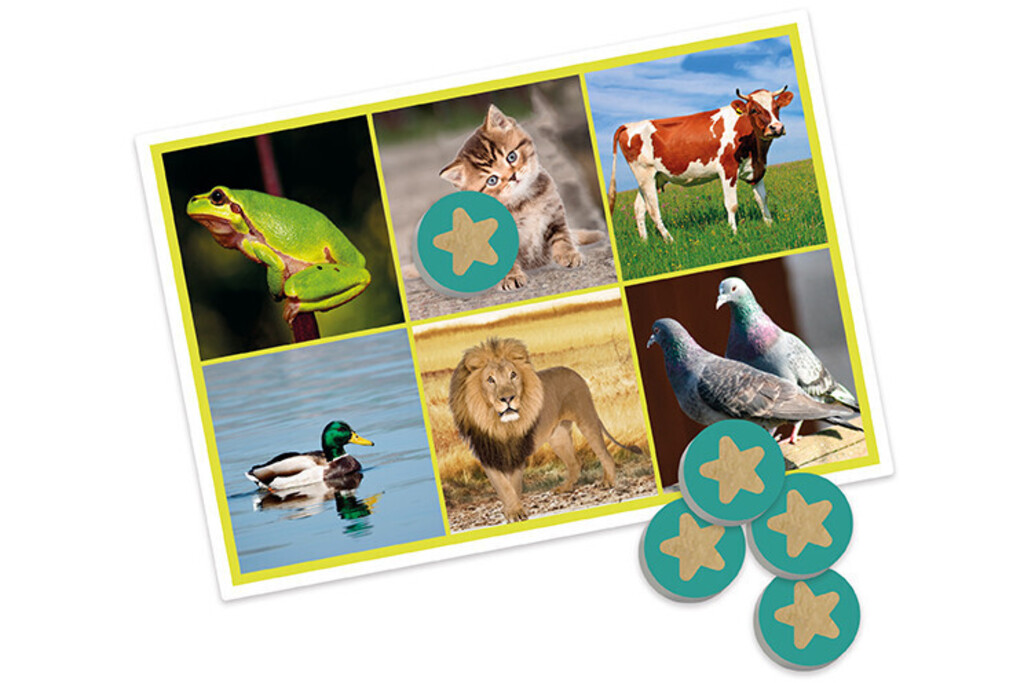 Bingo: animali e natura
