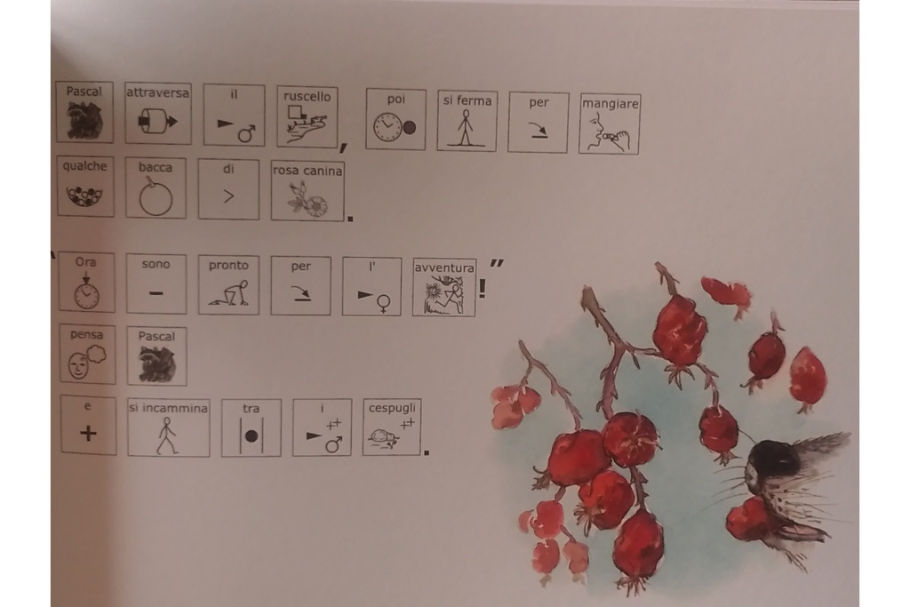 Il segreto del codirosso in CAA