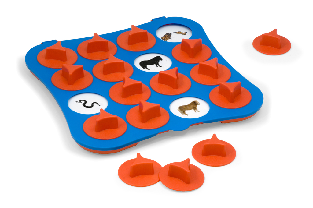 Gioco delle coppie primi apprendimenti