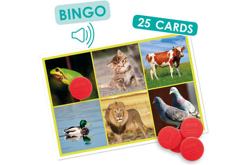 Bingo: animali e natura