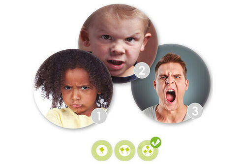 Riconoscere e guidare le emozioni