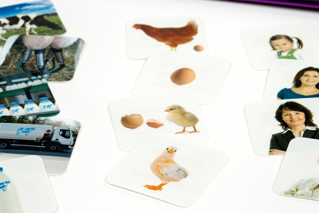 Sequenze: brevi storie (5-6 anni)